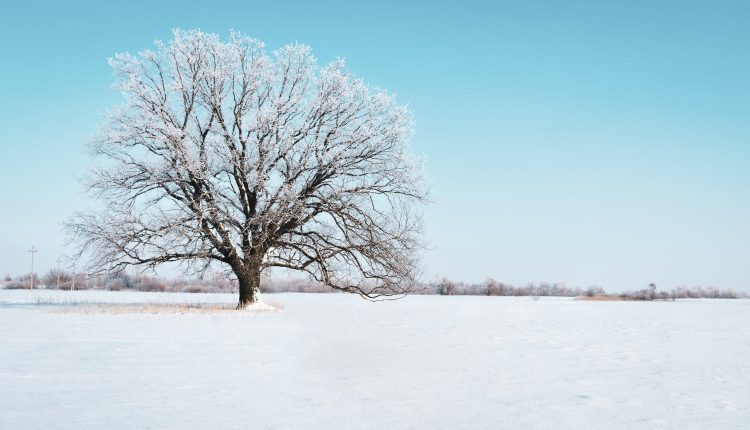 lezbiyen turk kadinlarin deneyimleri bir hikaye paylasimi